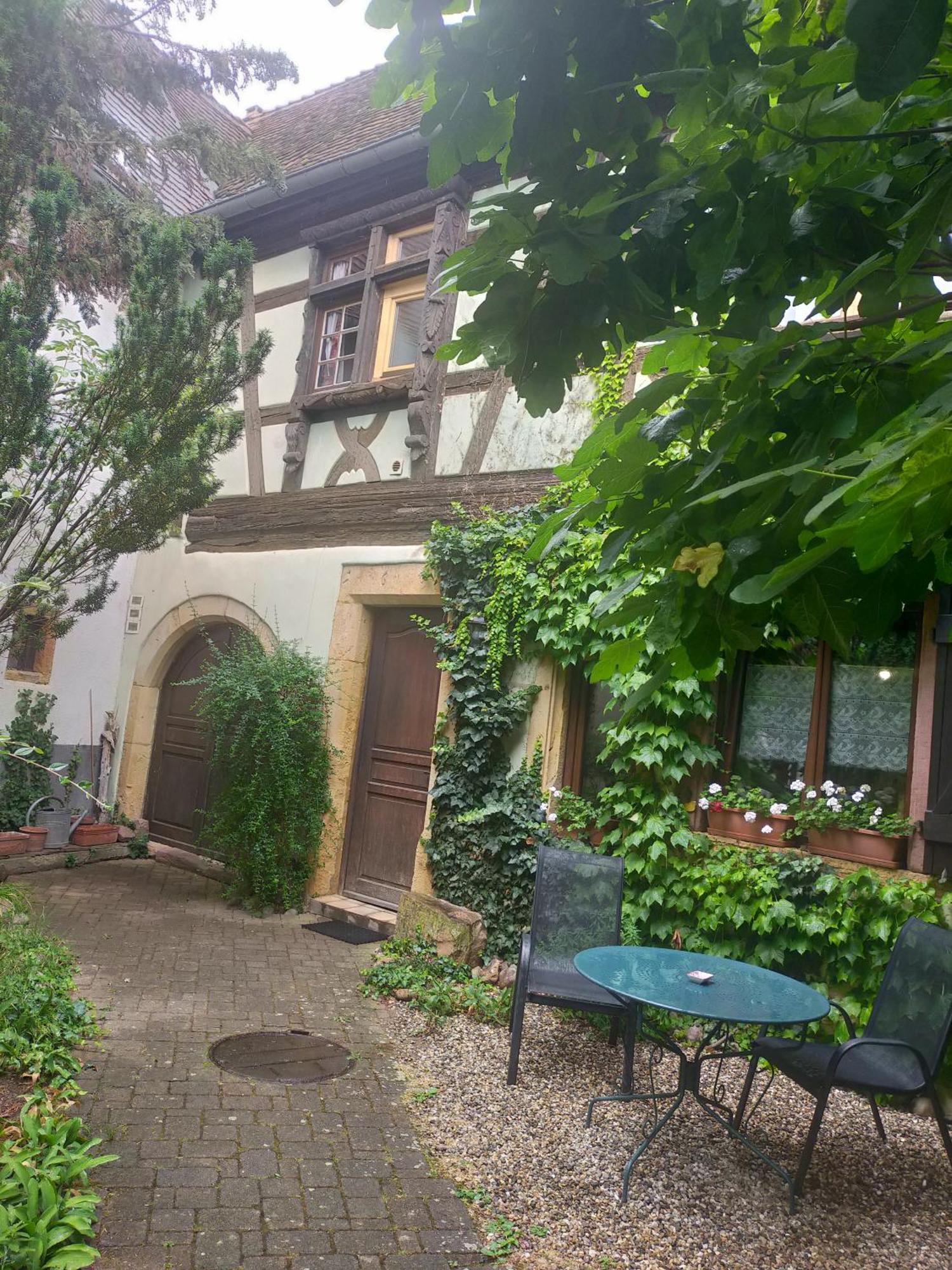 Studio La Grenouillere Turckheim Exterior foto