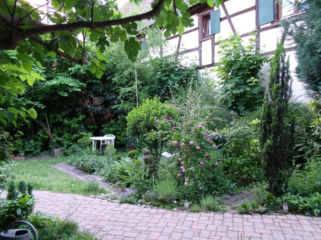 Studio La Grenouillere Turckheim Quarto foto